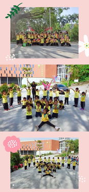 享受大自然 与秋季 童 行 金苹果中英文第六幼儿园