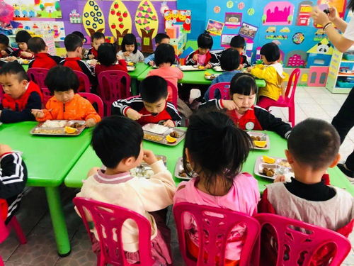 爱上幼儿园之 神兽 归笼 金苹果一园开学记