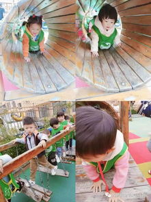 金苹果幼儿园分享 跑跑段幼儿开心户外活动中