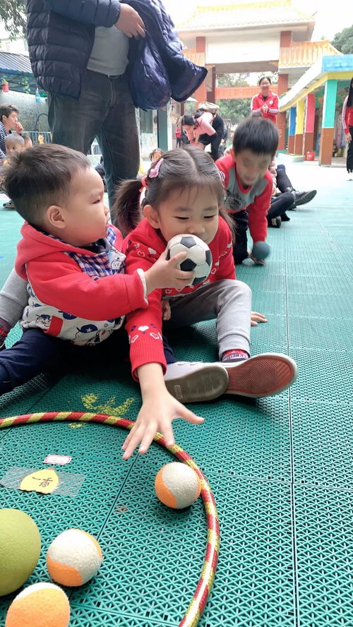 新生体验日 金苹果中英文第六幼儿园