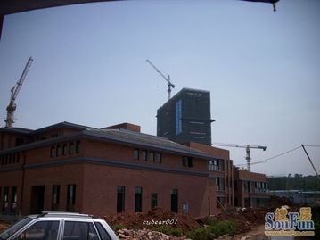 西南最大的金苹果旗舰幼儿园外装都做好啦,晒晒图片