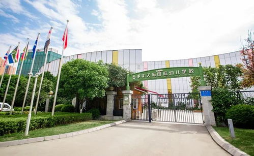 成都名校密度最高的一条街