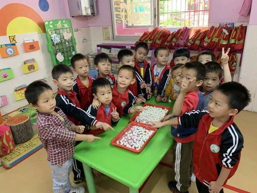 乐享冬至 缤纷你我 金苹果三园冬至日主题活动