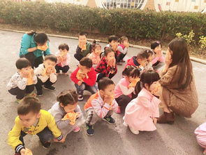 关注安全 真爱生命 金苹果幼儿园消防日活动