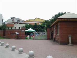 守护童心，安全入园 探访四川省成都市汉流县金苹果幼稚园双通道大圆弧翼闸